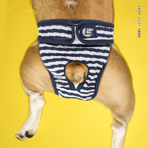 Culotte culotte pour chien, sous-vêtement menstruel, combinaison pour animal domestique, lavable, hygiénique ► Photo 1/6