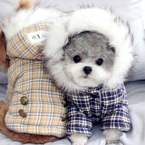 Vêtements chauds d'hiver en coton pour animaux de compagnie, manteau épais russe, costume anglais à grille, sweat à capuche pour petits chiots, XXL ► Photo 1/6