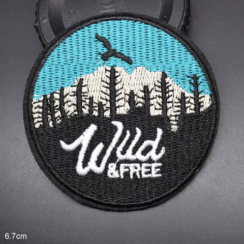 Patch de vêtements en tissu brodé oiseau dans le ciel, Animal, joli, pour filles et garçons, vente en gros ► Photo 1/3