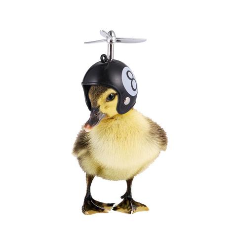 2 pièces drôle poulet casque équipement de Protection pour animaux de compagnie soleil pluie Protection casque Costumes accessoires oiseau poules fournitures pour animaux de compagnie ► Photo 1/6