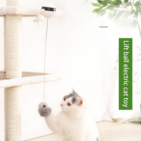 Jouet électronique interactif pour chat, boule de levage Yo-Yo, battement électrique, Puzzle interactif rotatif, jouet pour animaux de compagnie ► Photo 1/6