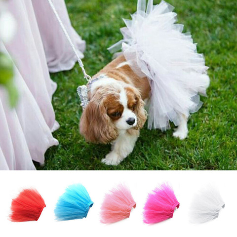 Jupe Tutu de princesse pour petit animal de compagnie, en Tulle doux, 5 couleurs, tenue Cosplay, bouledogue, chiot, été ► Photo 1/6