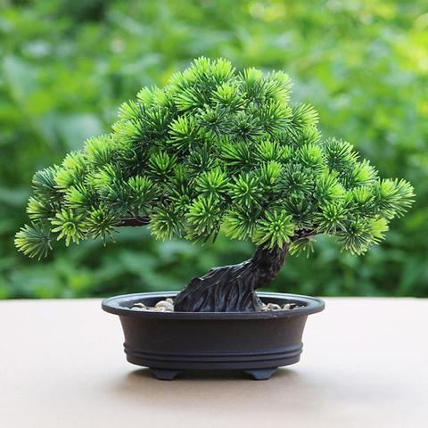 Bonsaï artificiel petit arbre vert, 1 pièce, plantes en Pot, pin artificiel, plante ornementale, bureau ► Photo 1/6