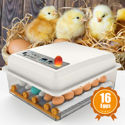 Incubateur automatique, 220V, incubateur d'œufs, couveuse d'oiseaux, de poules, de poules, incubateur ► Photo 1/6