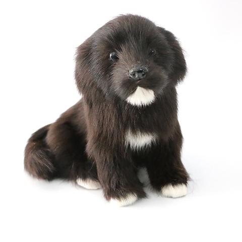 Petit chien noir simulé, voiture, maison, bureau, accessoires de photographie, décor, jouet, poupée en peluche, cadeaux de décoration, boutique pour enfants ► Photo 1/5