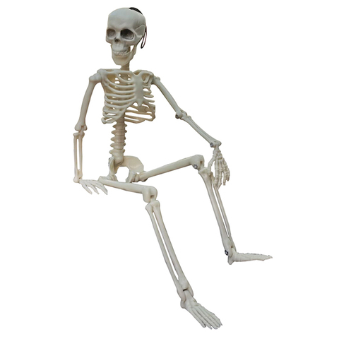 Voiture décoration spoof actif squelette humain modèle anatomie squelette squelette apprentissage médical Halloween fête décoration squelette ► Photo 1/6