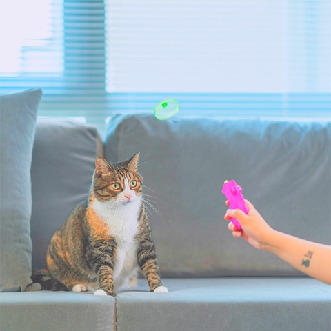 Dernier jouet pour chat, Mini pistolet pour chats, avec tête rotative ► Photo 1/6