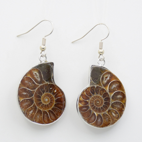 Boucles d'oreilles en forme d'escargot pour femmes et filles, en forme de goutte d'eau, en forme de coquille de conque, fossile, couleur naturelle, pendentif Animal, crochet ► Photo 1/3