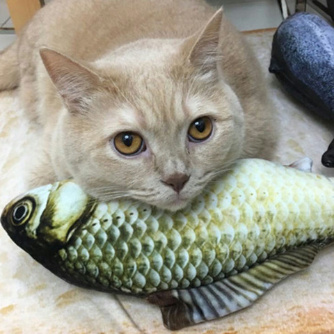 1 pièces chat jouets 3D poisson forme douce en peluche cataire jouet fournitures pour animaux de compagnie cadeaux interactifs Simulation poisson poupée chat jouets ► Photo 1/6