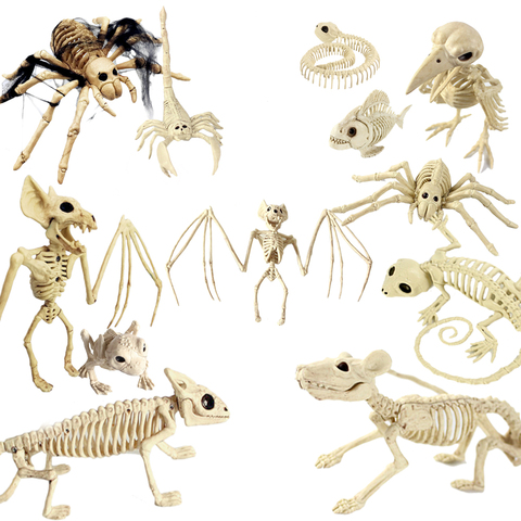 Décoration d'halloween, 30CM, squelette Animal, ornement de fête à la maison, araignée, chauve-souris, modèle d'os de Scorpion réaliste ► Photo 1/6