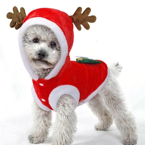 Veste de noël en tissu pour chien, vêtement d'hiver chaud, épais et mignon avec dessin animé, Costume pour petit chien, chiot, chaton ► Photo 1/6