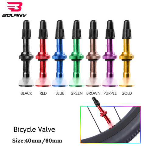 1 pièces Bolany 40MM/60MM VTT Vélo Extender Vannes Pour Vélo Tubeless Pneu Noyau de Valve En Alliage D'aluminium Vélo Réparation Accessoires ► Photo 1/6