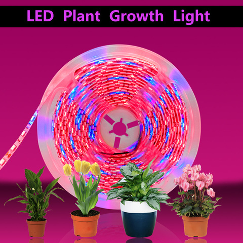 20M LED plante poussent bande lumières spectre complet fleur phyto lampe étanche pour serre hydroponique croissance lumière + adaptateur secteur ► Photo 1/6