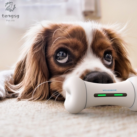 Chien jouet interactif pousser TPR os petit chien jouets électrique intelligent jouet pour animaux de compagnie os pour animaux de compagnie jouant IQ traiter jouets fournitures de chiot pour animaux de compagnie ► Photo 1/6