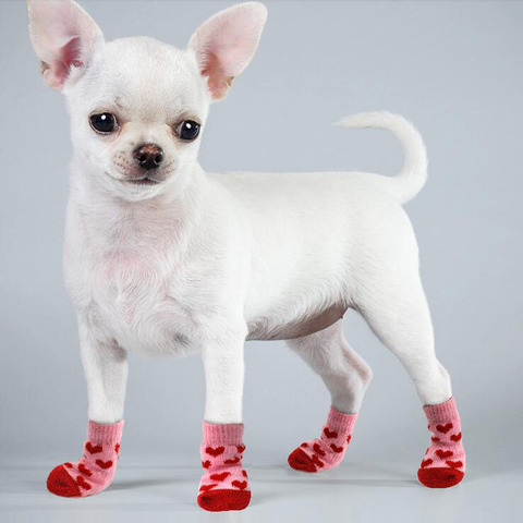 Chaussettes chaudes antidérapantes pour chiot, 4 pièces, chaussettes en tricot doux pour animaux de compagnie, mignonnes de dessin animé, chaussures chaudes pour chiot et chien, petit et moyen chiens, produit pour animaux de compagnie ► Photo 1/6