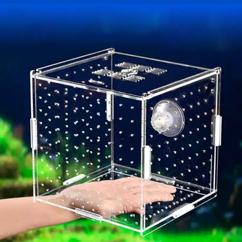 Boîte d'isolation pour Aquarium, petit Aquarium Transparent en acrylique, grille simple et Double ► Photo 1/5