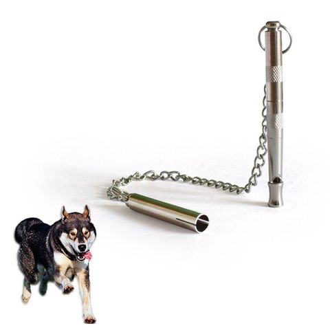 Sifflet pour chiens silencieux | Véritable, ultrason, aide à l'entraînement et au comportement, outils d'animaux de compagnie ► Photo 1/5