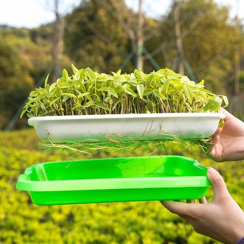 Pots en plastique pour pépinière, plateau de germination des graines PP sans sol, de grande capacité, pour la culture de l'herbe de blé, plateau de germination, plaque hydroponique ► Photo 1/6