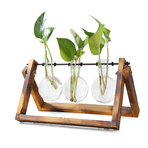 Vase en bois en verre et Pot de fleurs à suspendre avec plateau en bois, Table de Terrarium, plante hydroponique, bonsaï, décoration de la maison ► Photo 1/6