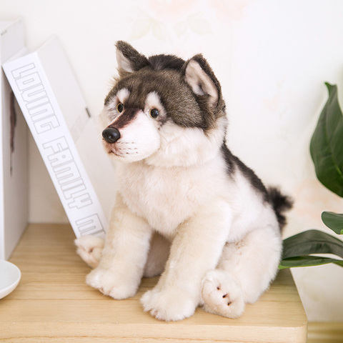 Haute qualité en peluche wol super mignon simulation petit loup mignon bébé jouer poupée décoration de la maison cadeaux d'anniversaire de noël pour les enfants ► Photo 1/4