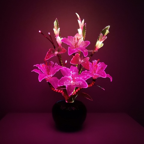 Nouvelle dynamique fée lily papillon décoration de mariage led nouveauté artistique fibre optique fleur noël nouvel an fête boutique ► Photo 1/5