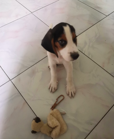 Test-kk ► Photo 1/1