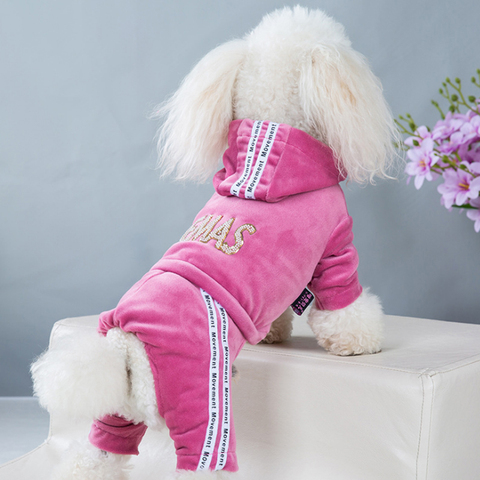 Sweat-shirt à capuche pour chien, vêtement à la mode avec lettres de dessin animé, pour les quatre saisons ► Photo 1/6