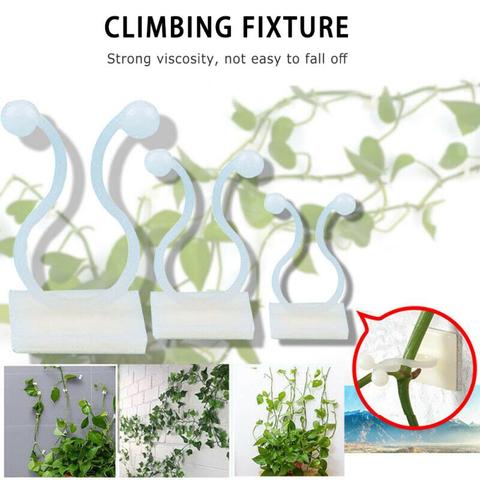 Pinces murales invisibles en rotin, 3 tailles, 1 pièce, Clip mural pour plantes grimpantes, fixation de vignes, support de crochet collant ► Photo 1/6