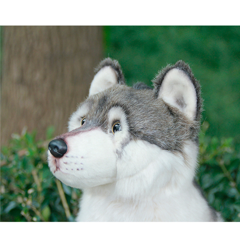 Peluche loup câlin, Animal en peluche réaliste, poupée Adorable, cadeau d'anniversaire pour enfants, garçon, livraison directe ► Photo 1/6