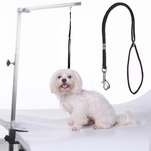 1pc Durable chien laisse Nylon pour animaux de compagnie noeud coulant boucle serrure attache corde harnais chiens toilettage Table bras bain retenue corde livraison directe ► Photo 1/6