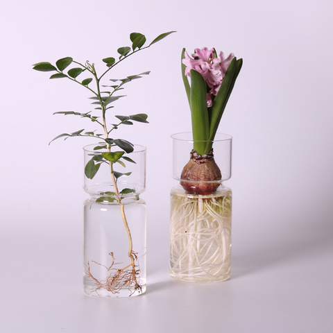 Vase en verre jacinthe transparent, Pot de fleurs pour Terrarium, conteneur féerique paysage, jardin, décorations de bureau bricolage ► Photo 1/6