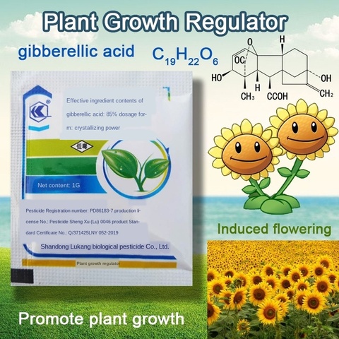 Régulateur de croissance de l'acide gibberellique, 1 pièce, engrais pour la pause et le sommeil, augmentation de la Production, pour la maison et le jardin, bonsaï, 920 plantes ► Photo 1/6