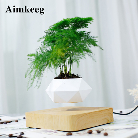 Nouveauté lévitation Pot lumière Rotation Air bonsaï jardinières magnétique lévitation lampe fleur flottant en Pot plante pour décor cadeau ► Photo 1/1