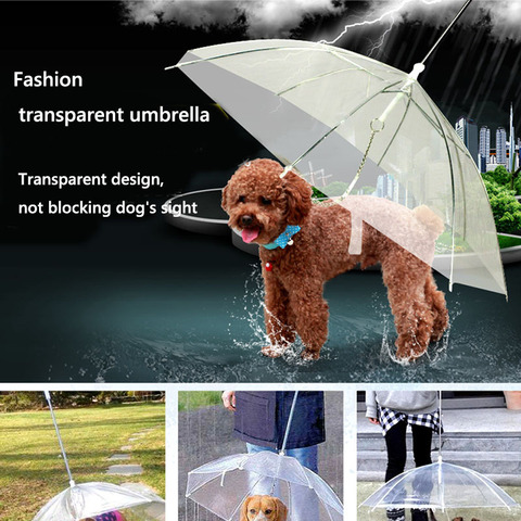 Parapluie pour animaux de compagnie, parapluie hyène, artefact, ours en peluche, équipement de pluie pour chien, jolies fournitures pour animaux de compagnie, imperméable, chat, vente ► Photo 1/6