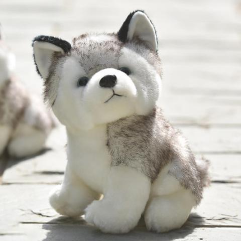 Mignon Husky chiot chien doux en peluche poupée dormir jouet enfants cadeau décoration de la maison enfants jouets éducatifs pour enfants cadeaux ► Photo 1/6