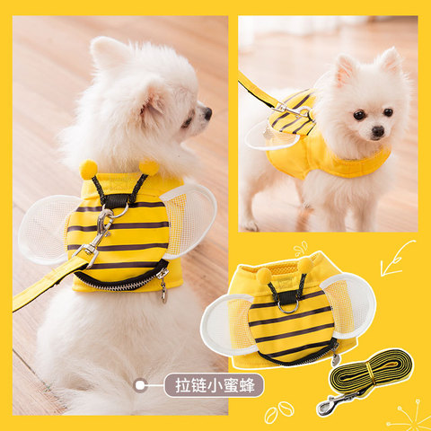 Mignon abeille gilet chien laisse chien laisse chien laisse chien laisse Teddy fournitures pour animaux de compagnie poitrine harnais chat chaîne chat laisse ► Photo 1/4