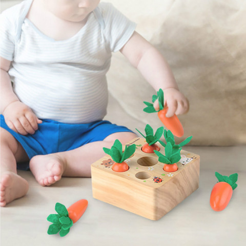 Montessori jouet en bois jouets bébé ensemble tirant carotte forme correspondant taille Cognition Montessori jouet éducatif en bois jouets bébé ► Photo 1/6