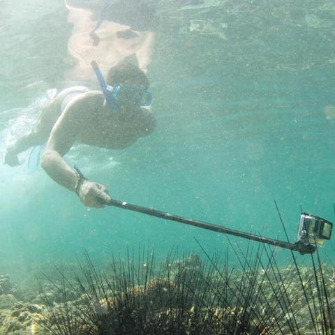 Bâton de Selfie de bâti tenu dans la main et de trépied d'acier inoxydable de poteau extensible télescopique pour GoPro Hero 2 / 3 pour l'action d'osmo ► Photo 1/6