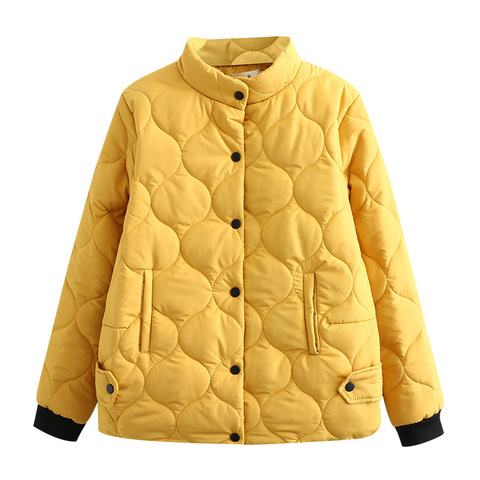 Mode Hiver Manteaux Pour Femme Simple Boutonnage Col Montant décontracté Parkas Feminimo De Inverno Chaud Veste Femmes 2022 Nouveau ► Photo 1/6