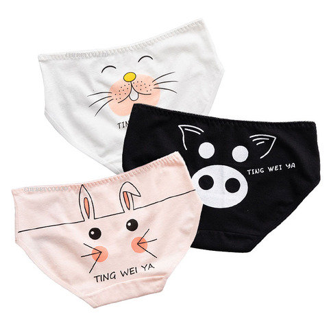 3 pièces/lot femmes culottes coton sous-vêtements femmes Sexy dessin animé sans couture slips filles Lingerie mignon femme caleçon belle M-XXL ► Photo 1/6