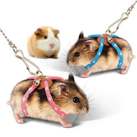 Harnais pour animaux domestiques, laisse pour Hamster, réglable, corde de gerbe en coton, collier en plomb pour souris Rat, laisse, Cage pour animaux de compagnie ► Photo 1/6