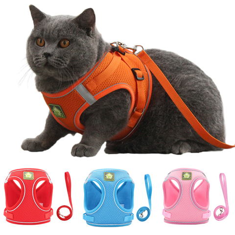 Gilet réfléchissant pour chiot chat | Avec laisse de marche, collier de chaton réglable, harnais en maille Polyester pour petits chiens moyens ► Photo 1/6