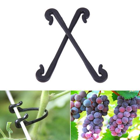 200 pièces vignes attache attaché Clips boucle crochet jardin plante légumes greffage Clips raisin Support vigne Clips fixe boucle crochet ► Photo 1/6