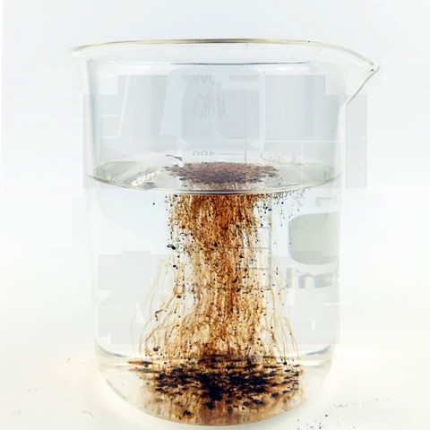 Extrait d'algues en poudre 500 grammes | soluble dans l'eau, engrais organique, poudre de kelp ► Photo 1/6