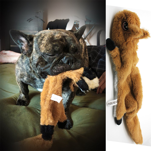 2022 nouveau chien jouets en peluche couinement jouets Animal de compagnie loup renard écureuil Animal en peluche jouet chien mâcher grinçant sifflement impliqué jouet interactif ► Photo 1/6