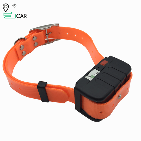 Localisateur GPS pour chiens de chasse, collier Gps Anti-perte étanche pour chiens de moyenne et grande taille, pas de limite de Distance ► Photo 1/6