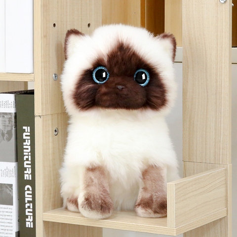 20/26CM Simulation siamois chat en peluche bleu paillettes yeux poupées brun et blanc visage Ragdoll chats décor à la maison mignon cadeau pour bébé ► Photo 1/5