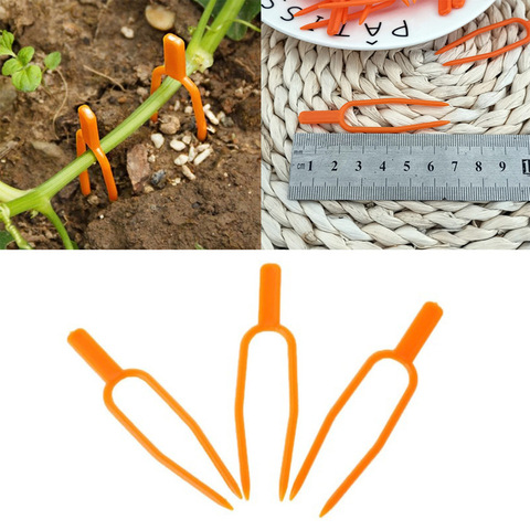 Clips de Support en plastique pour plantes grimpantes, Support de vigne pour fleurs, fraises, semis et tomates, fournitures de bâtiments de jardin, 50 pièces ► Photo 1/6