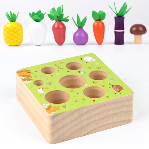 Jeu de carottes pour enfants, blocs en bois, ensemble de blocs de jouets Montessori, capacité de Cognition, jeu Alpinia interactif amusant, cadeau pour enfants ► Photo 1/6