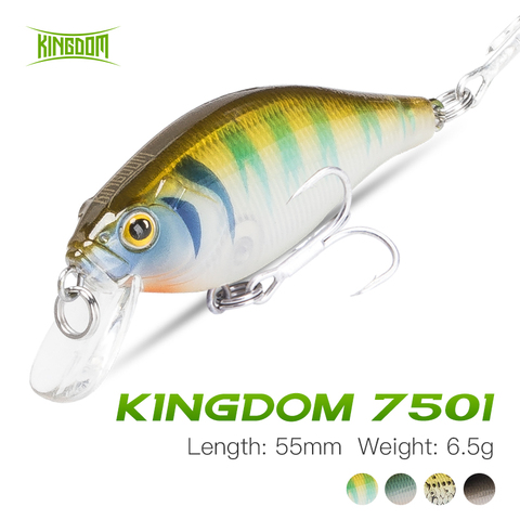 Royaume pêche leurre manivelle naufrage vairon pêche Wobblers 55mm 6.5g plastique nagbait 4 couleurs longue coulée pêche Jerkbait ► Photo 1/6